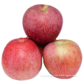 China huaguan apple early apple small apple 138-198